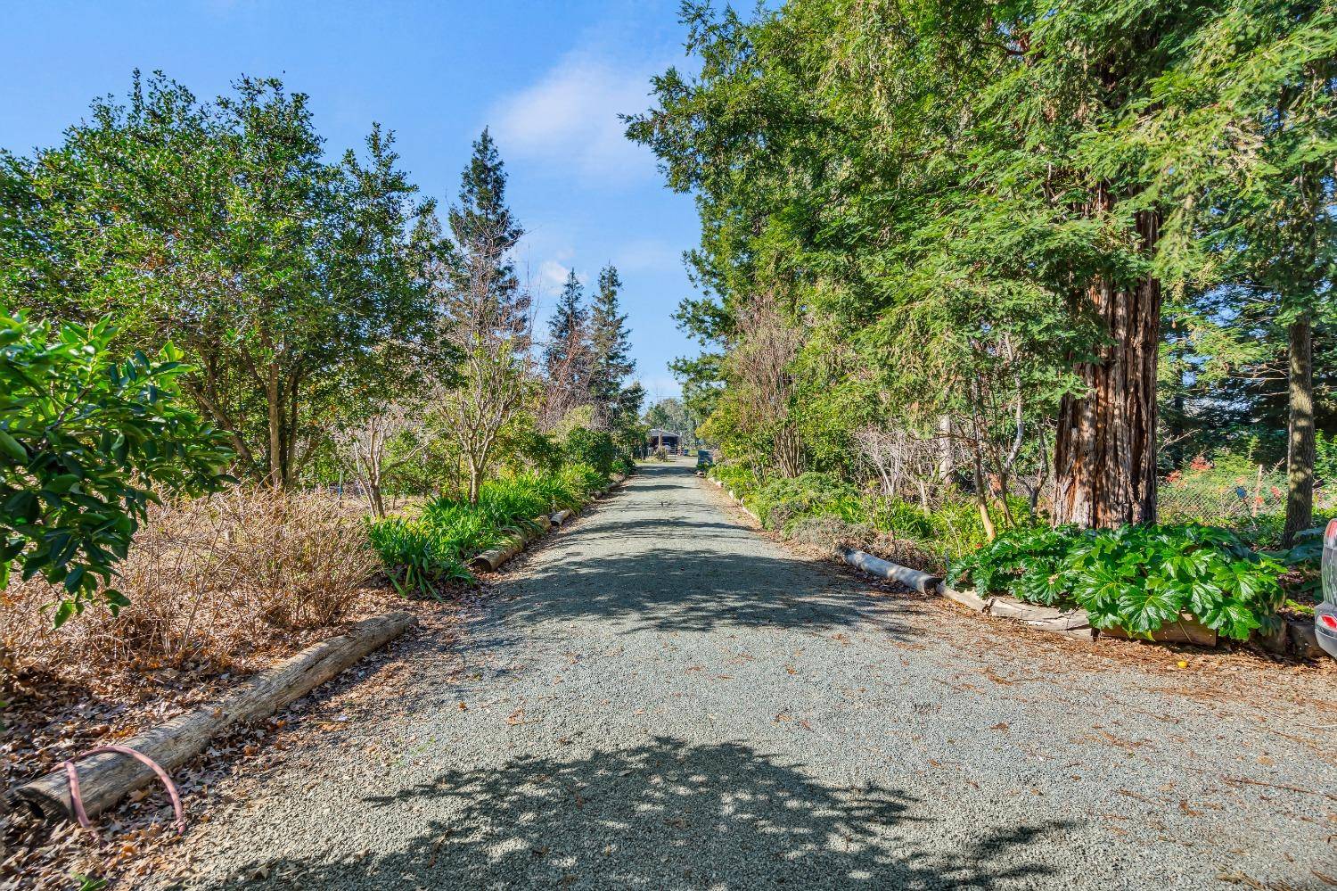 Herald, CA 95638,11909 Giusti RD
