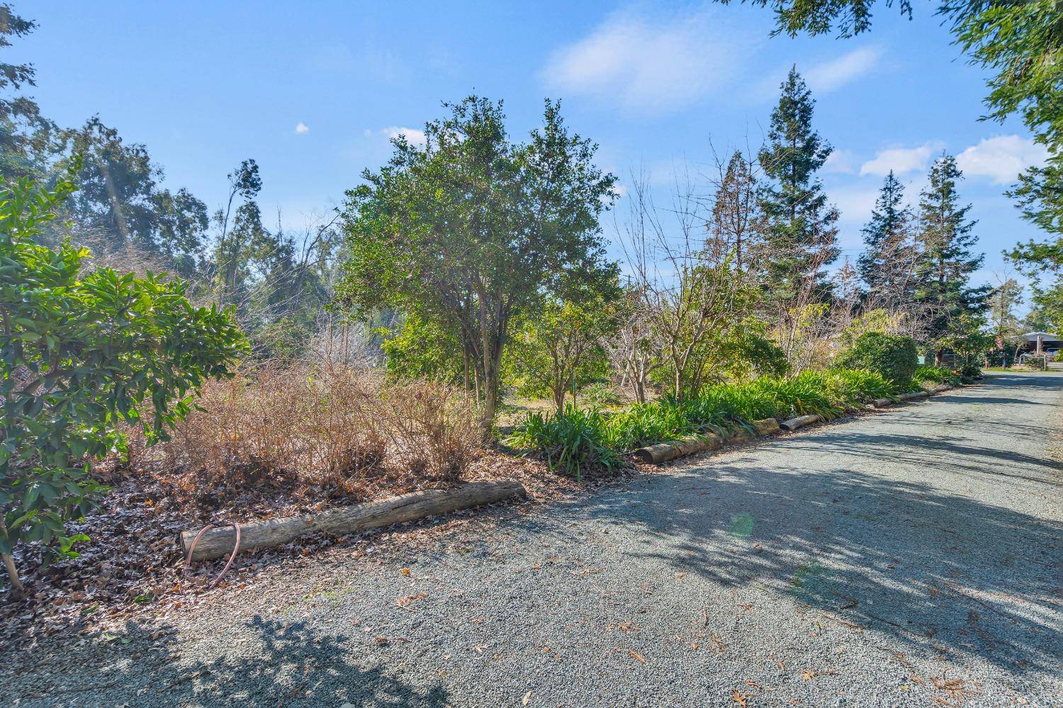Herald, CA 95638,11909 Giusti RD