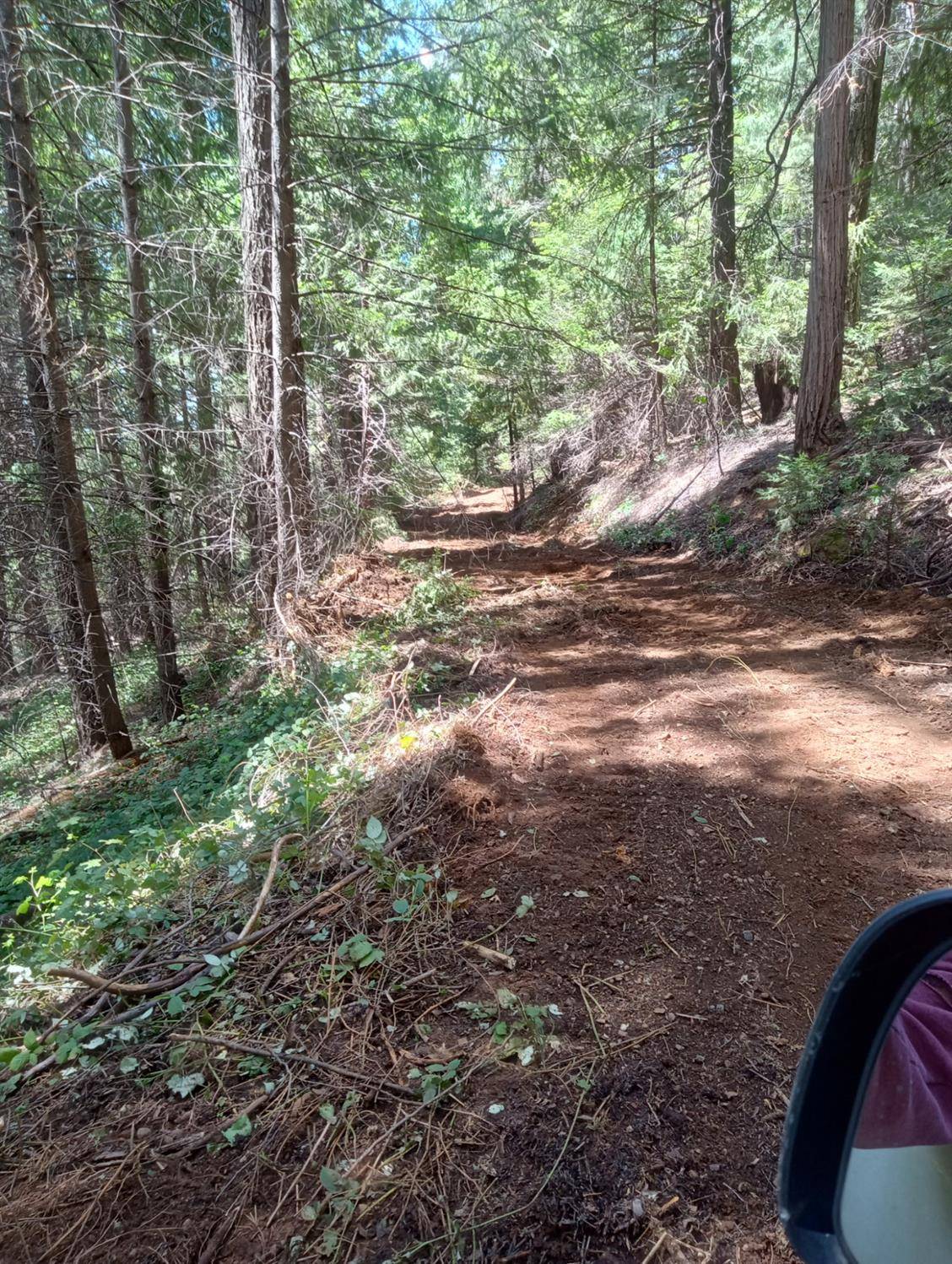 Gold Run, CA 95717,2725 Moody Ridge