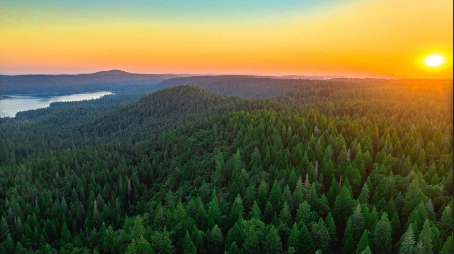 Nevada City, CA 95959,21885 Skypine Lakeview LN