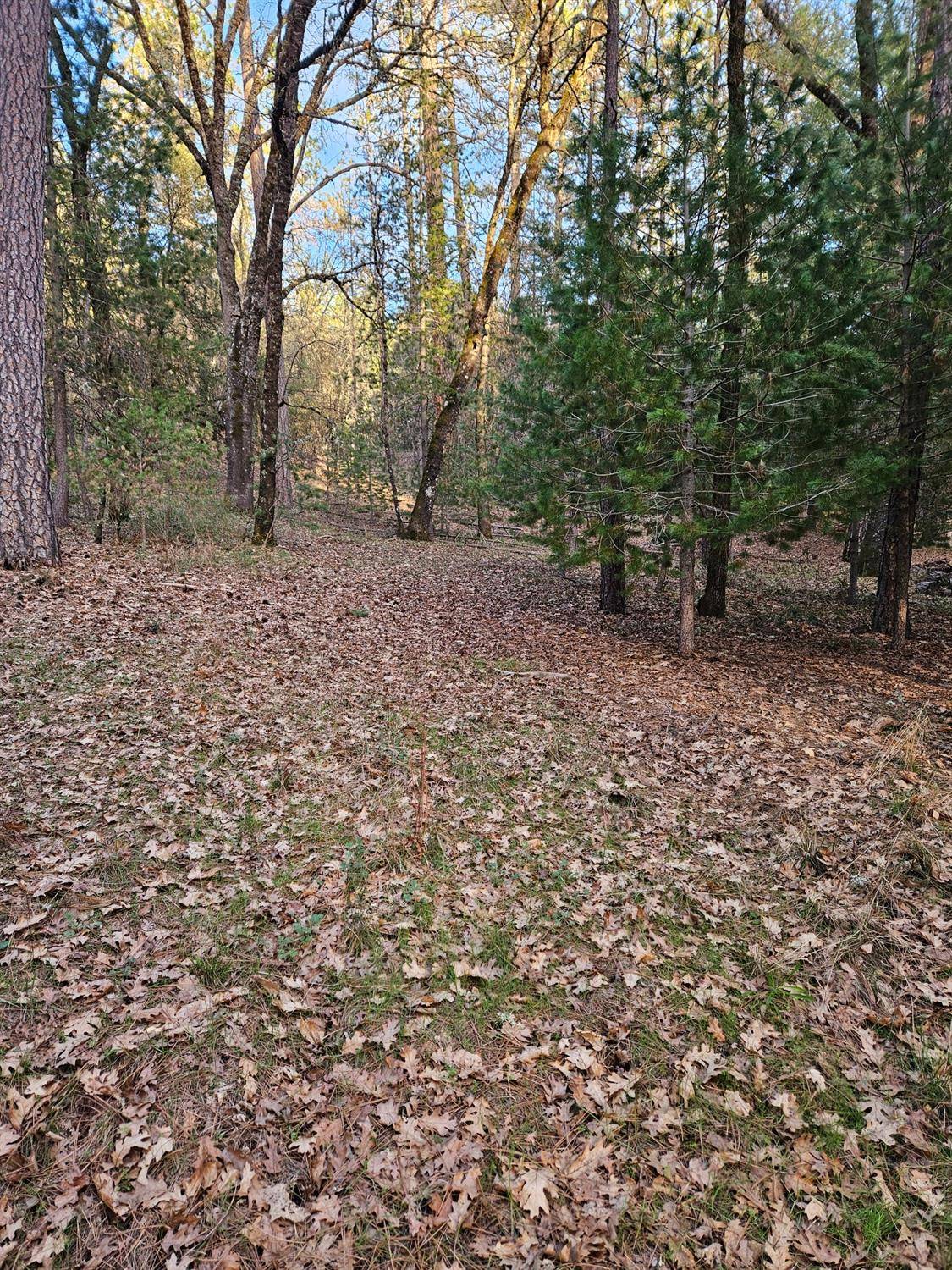 Meadow Vista, CA 95722,0 Creekside