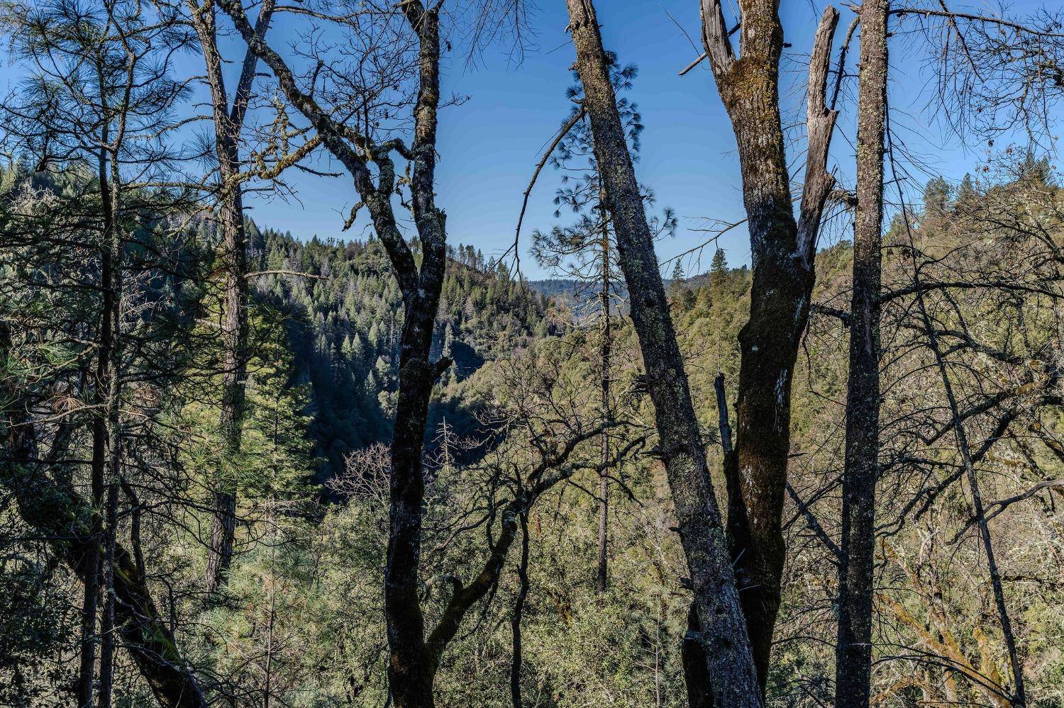 West Point, CA 95255,18903 Highway 26