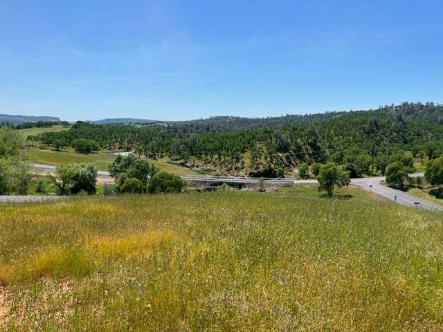 Copperopolis, CA 95228,1066 Cheyenne RD