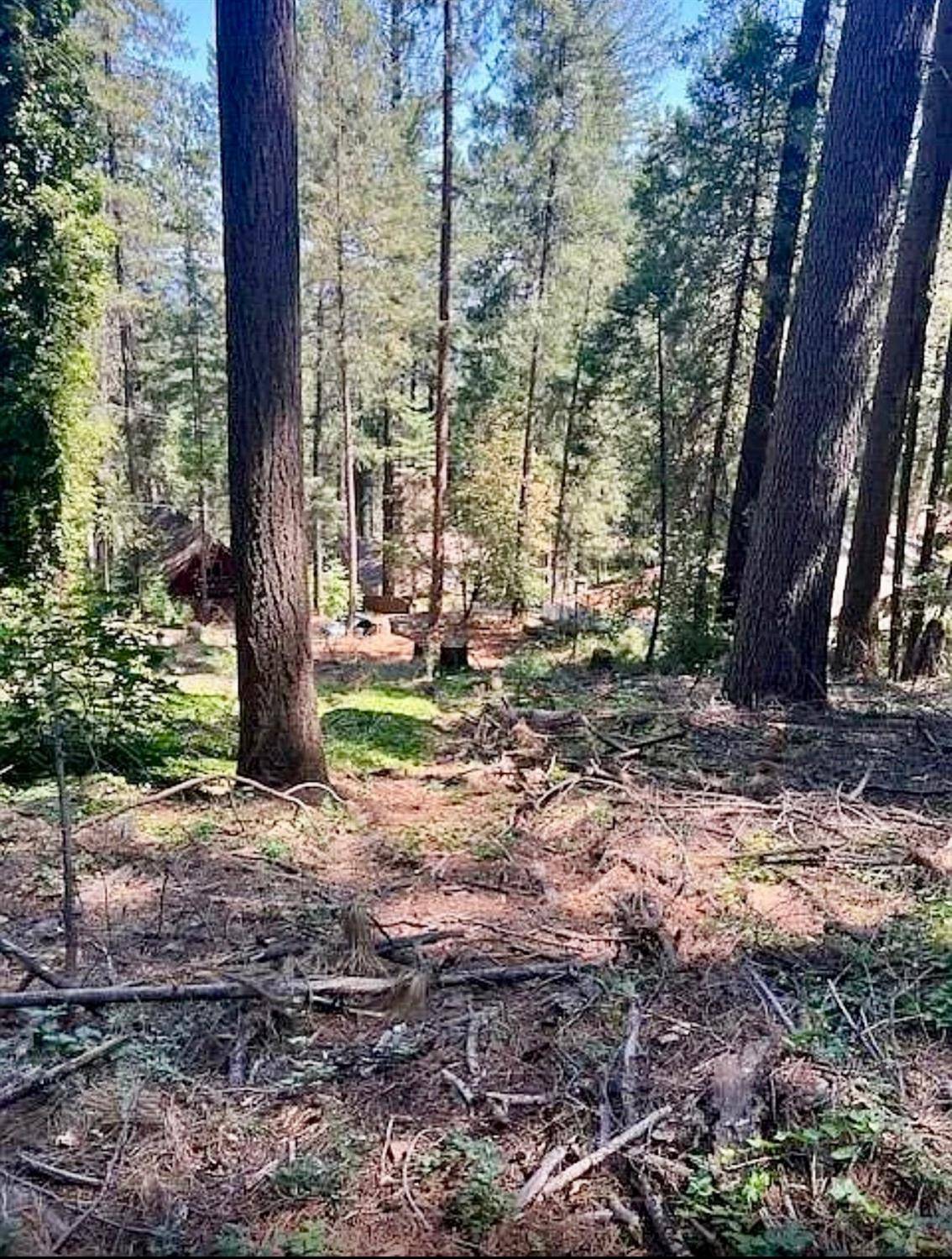 Colfax, CA 95713,28040 Manzanita TRL