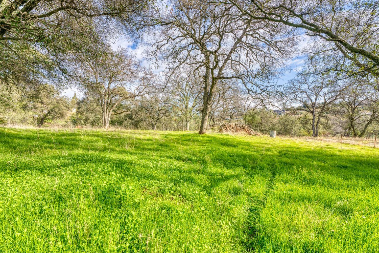 Shingle Springs, CA 95682,4541 Dust Cloud DR