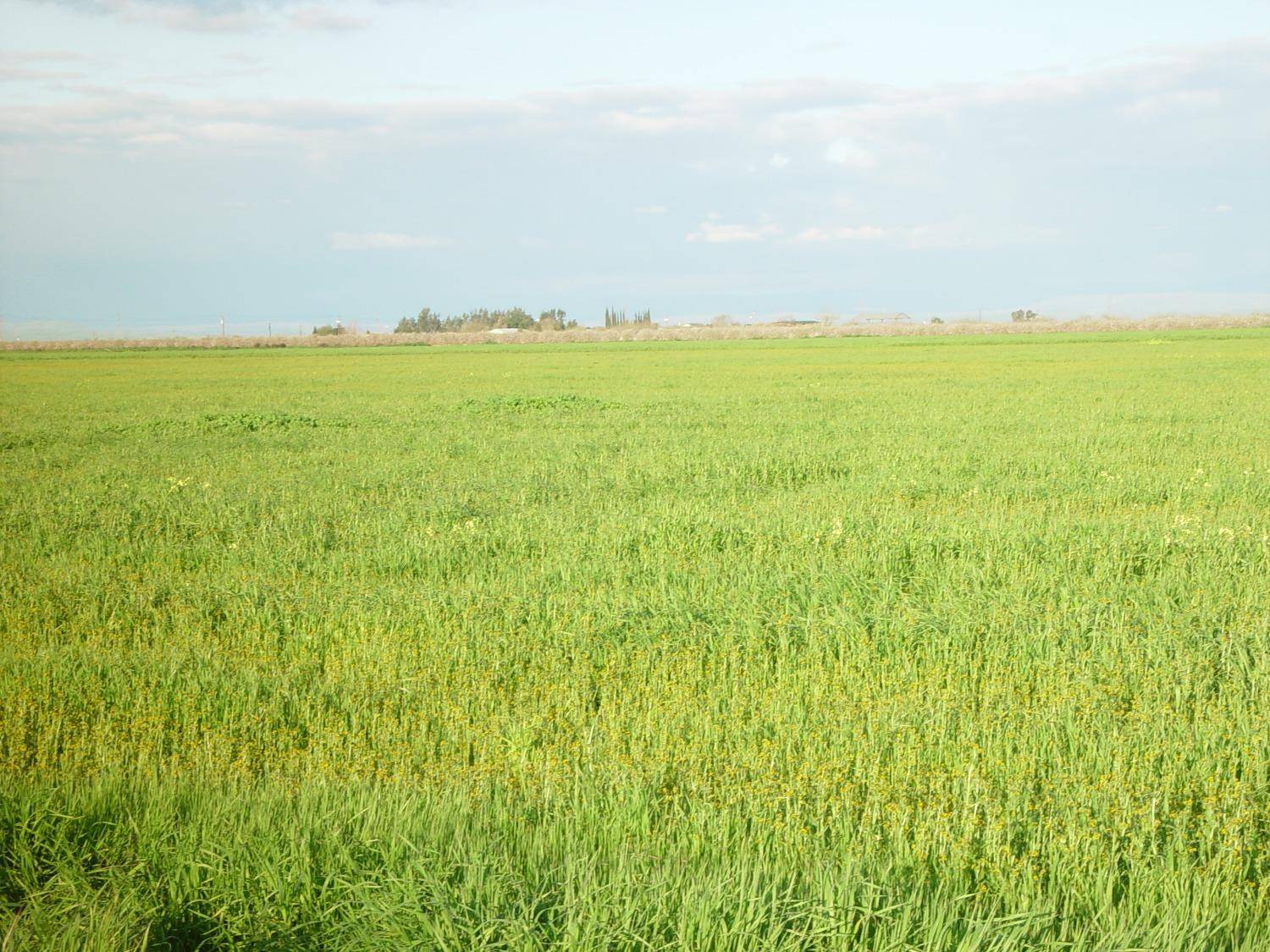Chowchilla, CA 93610,1 ROAD 18 3/4