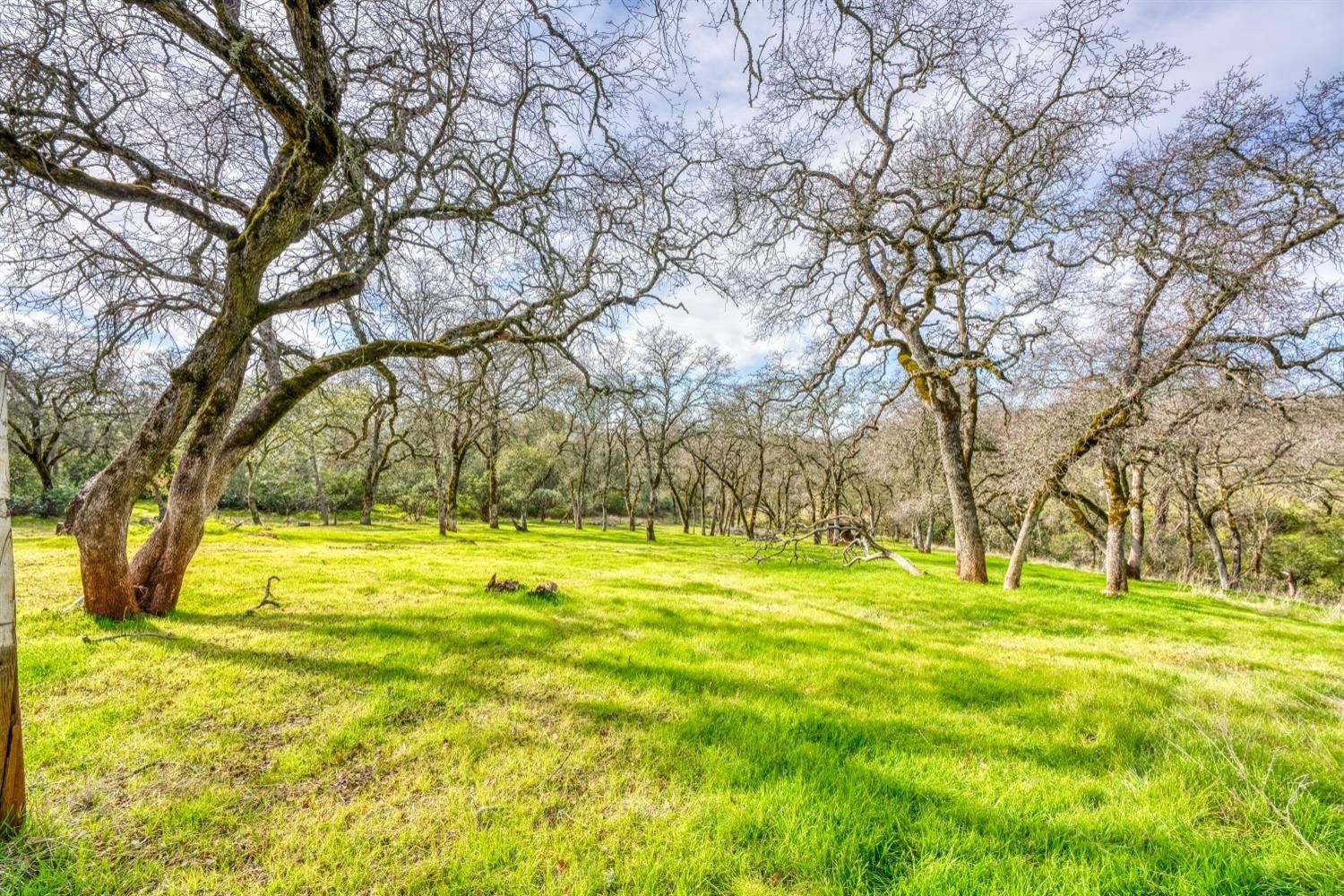 Shingle Springs, CA 95682,4541 Dust Cloud DR