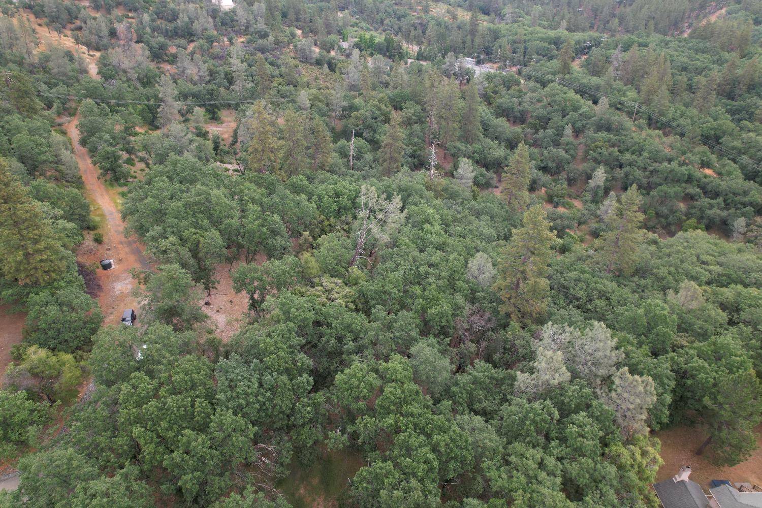 Colfax, CA 95713,0 Bridle Path RD