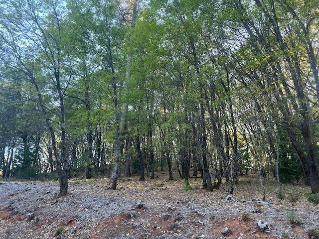 Nevada City, CA 95959,12103 Lowhills RD