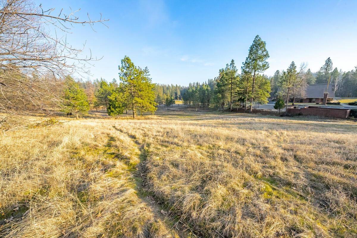 Foresthill, CA 95631,20793 Todd Valley RD