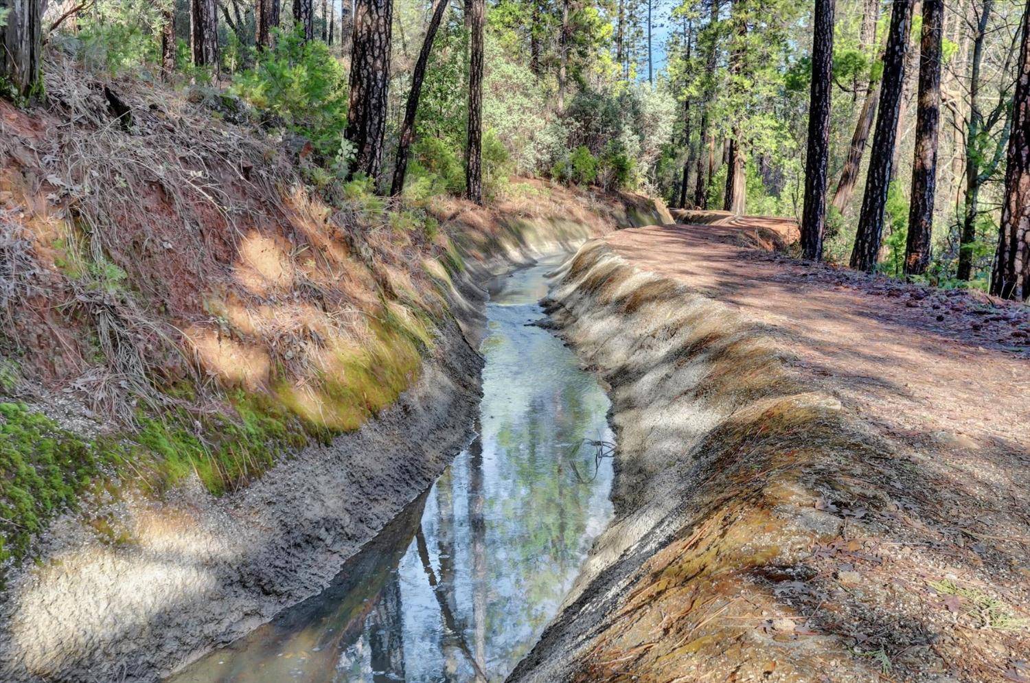 Nevada City, CA 95959,12776 Little Deer Creek LN