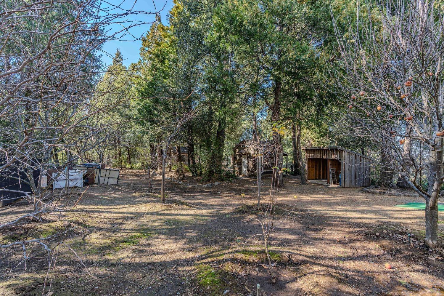 Volcano, CA 95689,24985 Shake Ridge RD