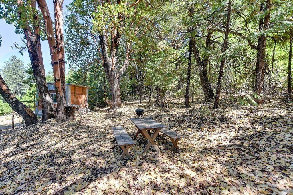 Pioneer, CA 95666,0 18880 Amador Avenue