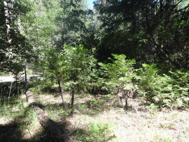 Nevada City, CA 95959,13802 Red Dog RD