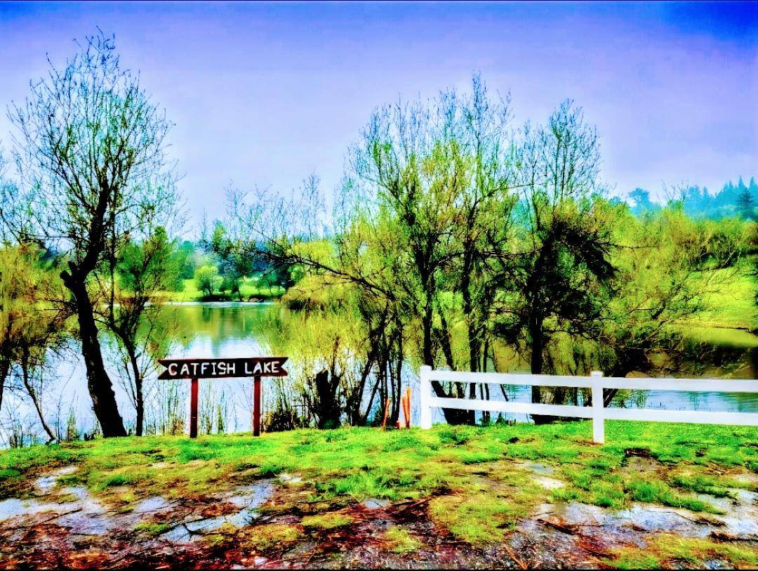 Placerville, CA 95667,2732 Shilo DR