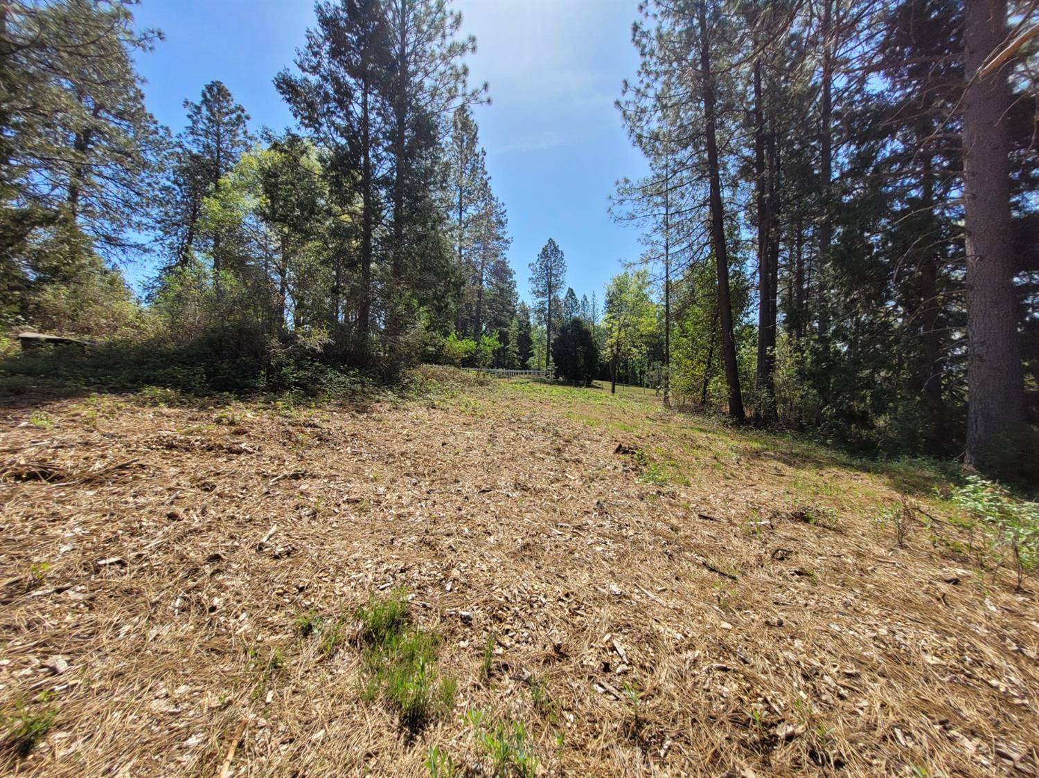Nevada City, CA 95959,13560 Hopeful Hill RD
