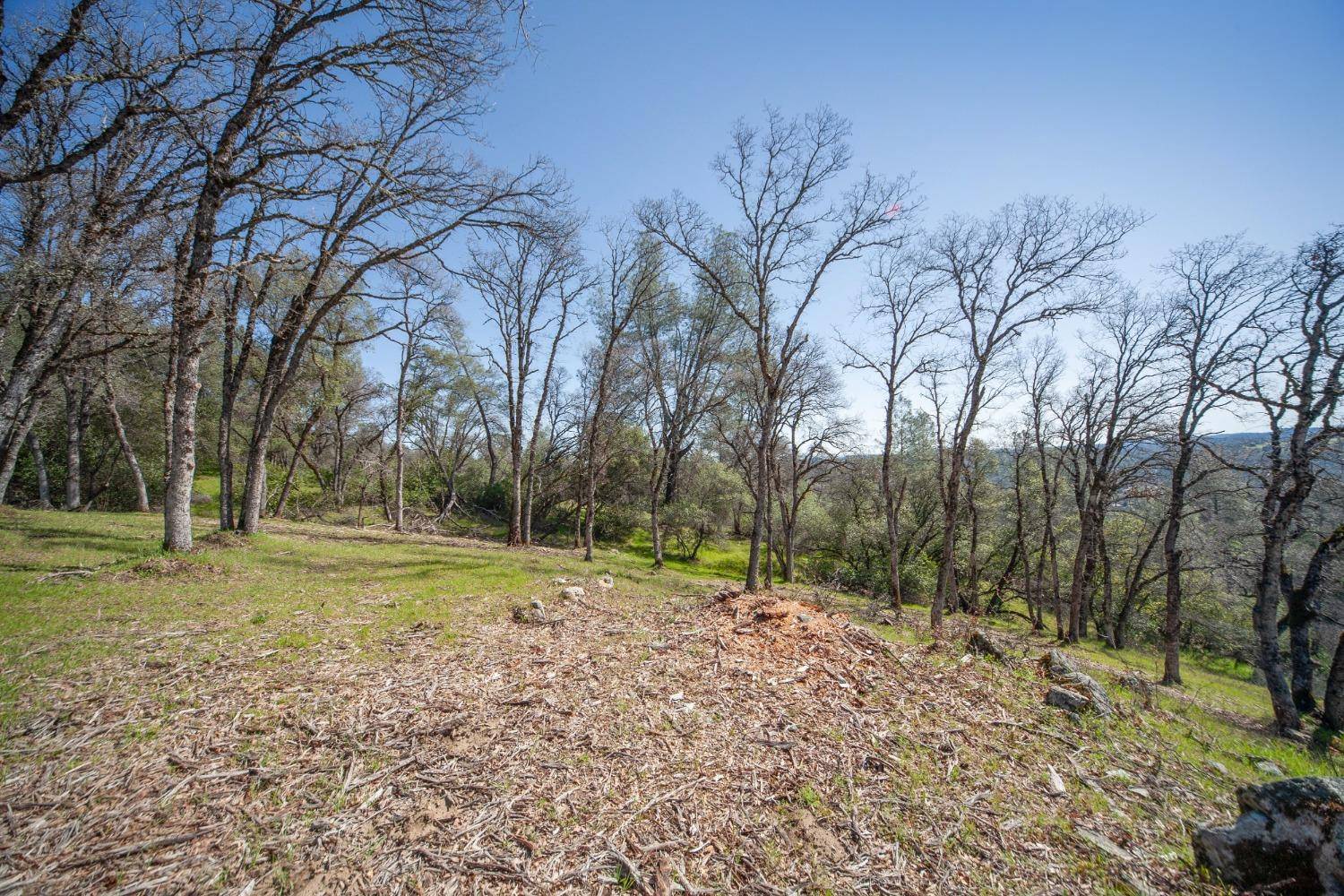 Placerville, CA 95667,0 Gold Strike DR