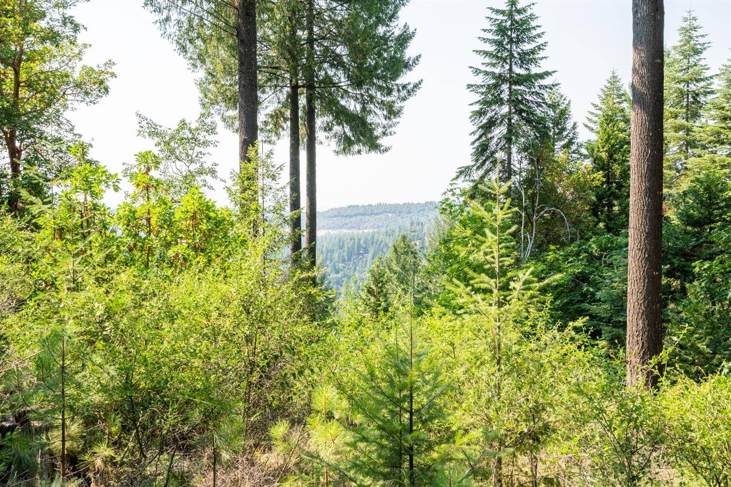 Nevada City, CA 95959,13518 Quaker Hill Cross RD