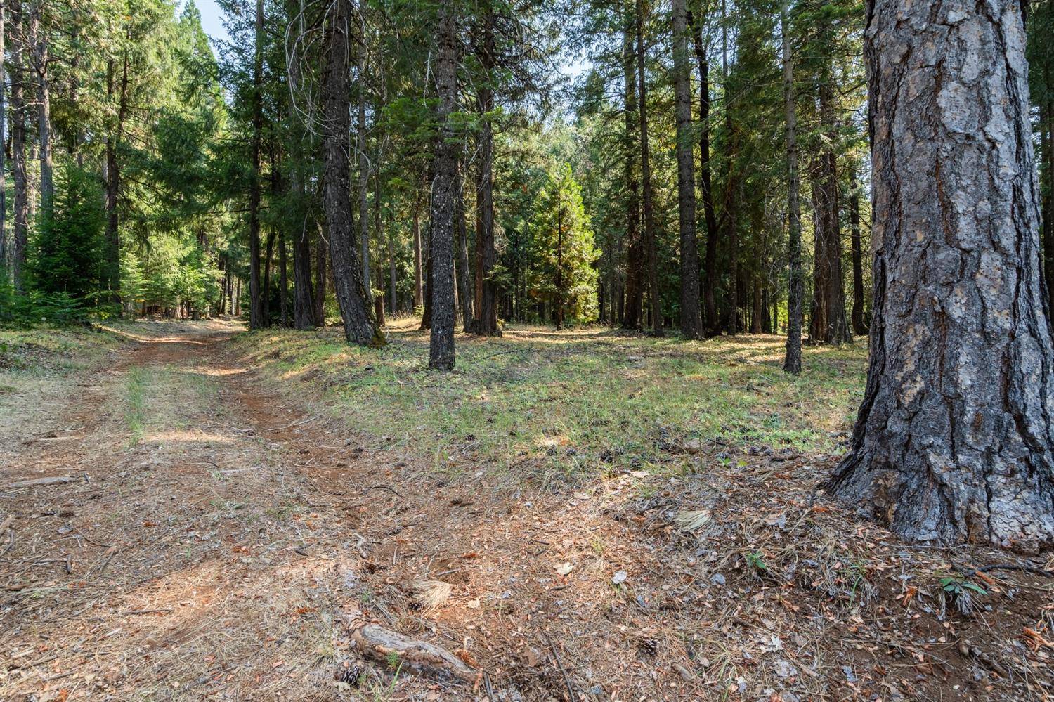 Nevada City, CA 95959,13518 Quaker Hill Cross RD