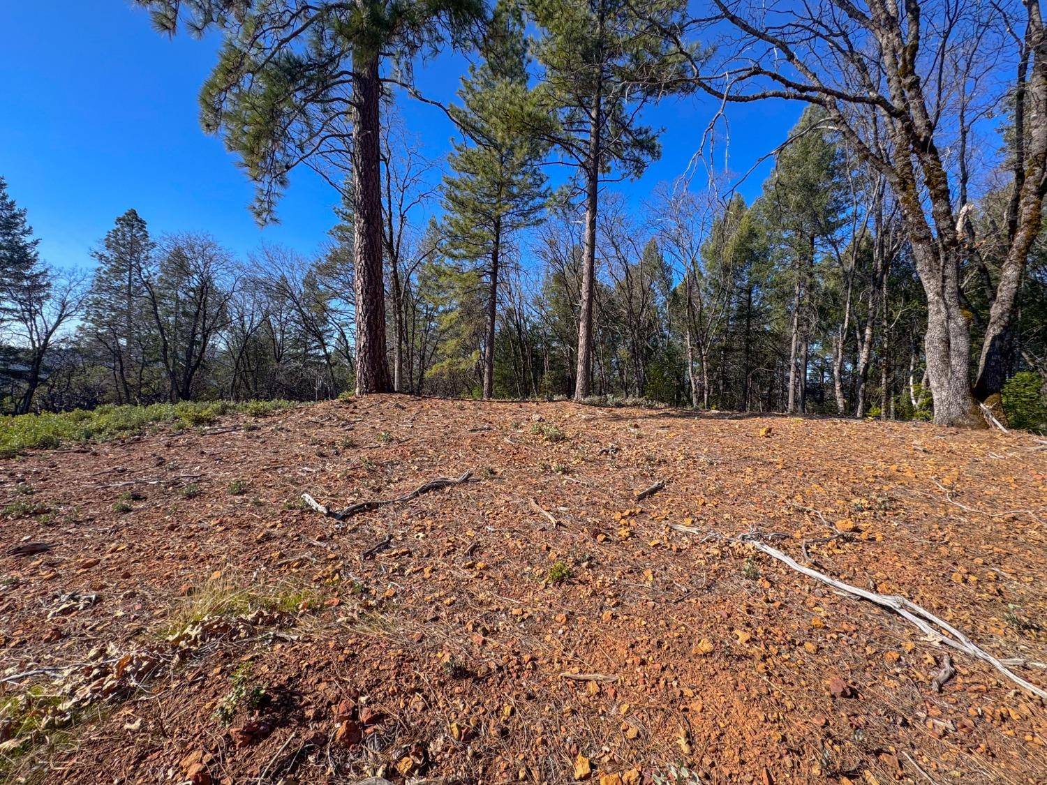 Grass Valley, CA 95945,17414 You Bet RD