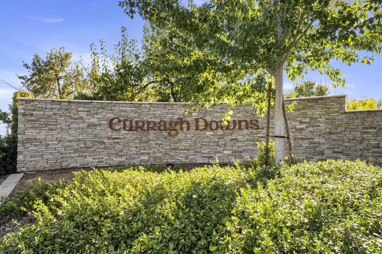 Fair Oaks, CA 95628,4200 Thistledown DR