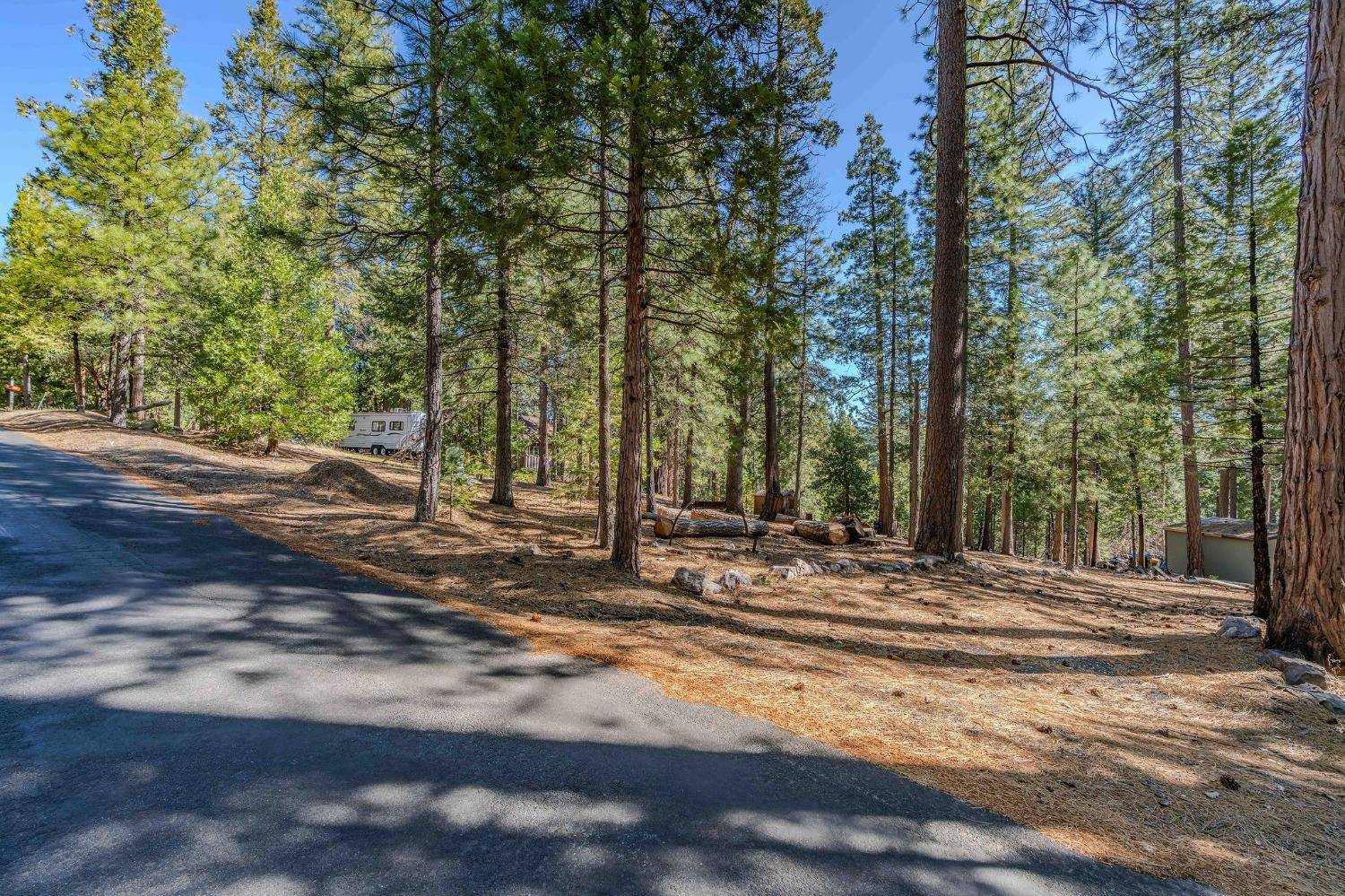Pioneer, CA 95666,19818 Pine DR