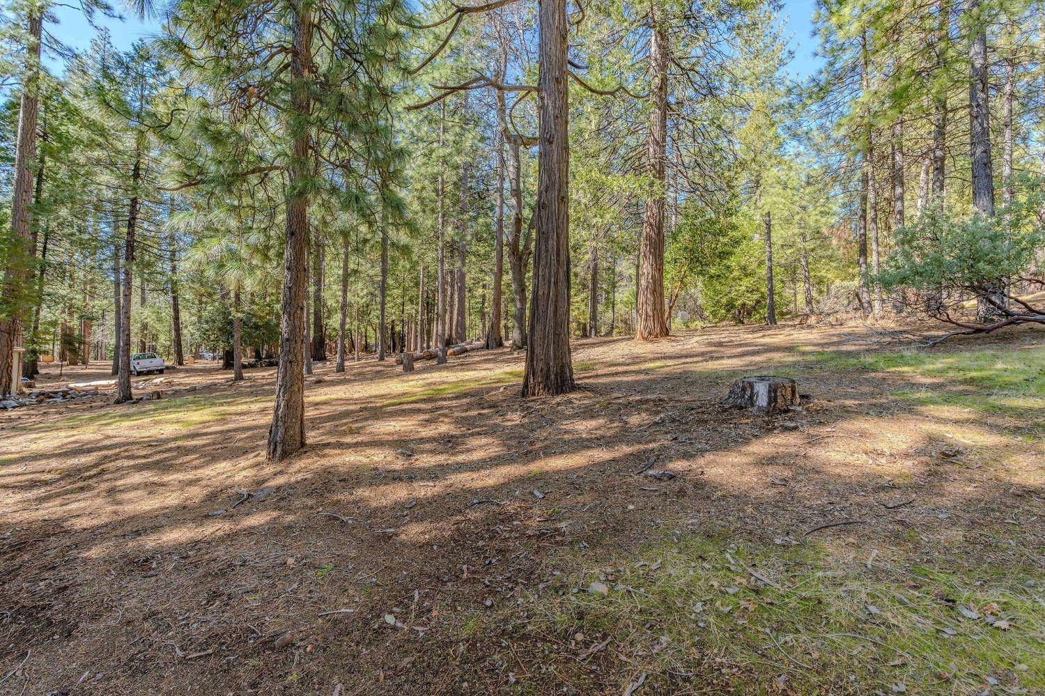 Pioneer, CA 95666,19818 Pine DR