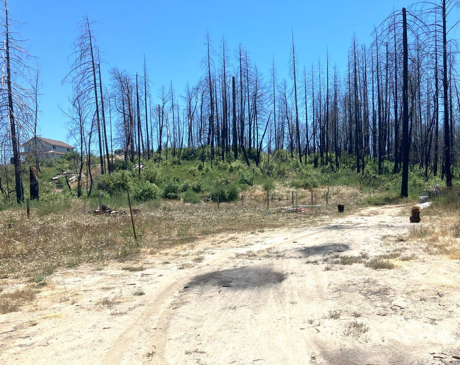 Berry Creek, CA 95916,35 Bromilow LN