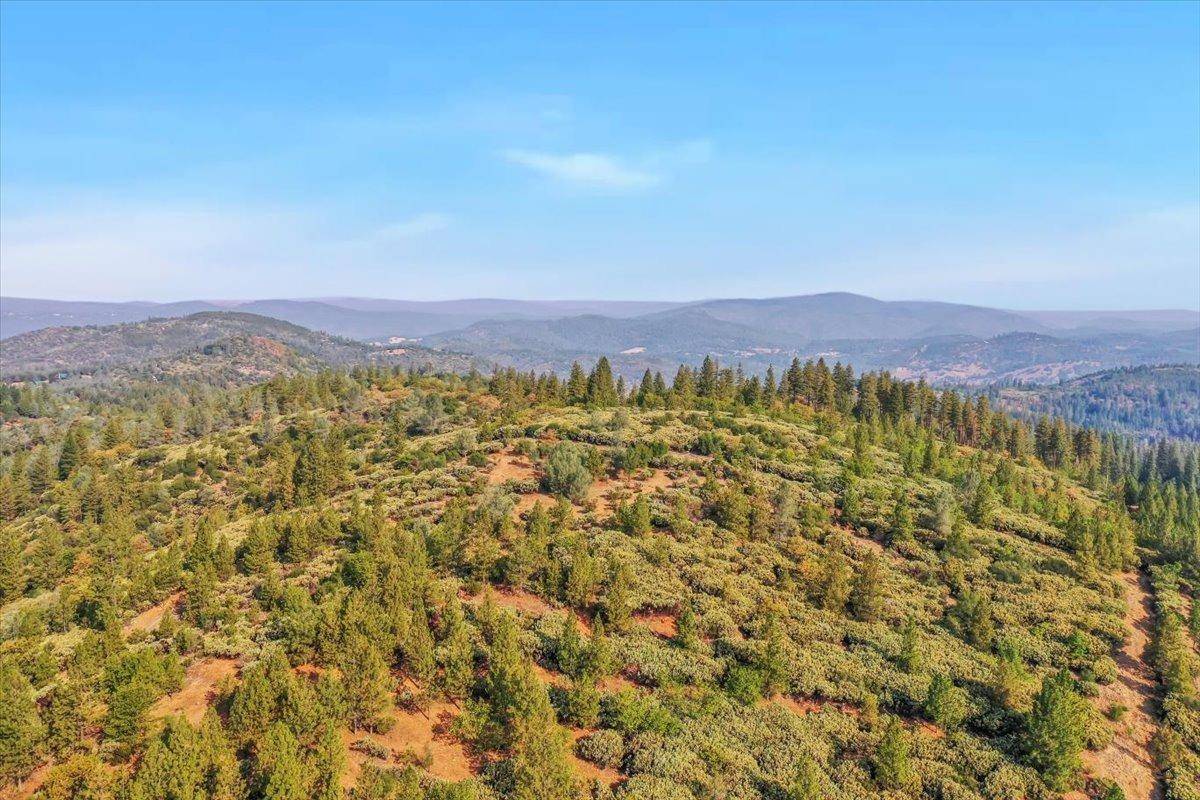 Nevada City, CA 95959,13641 Jeabjo WAY