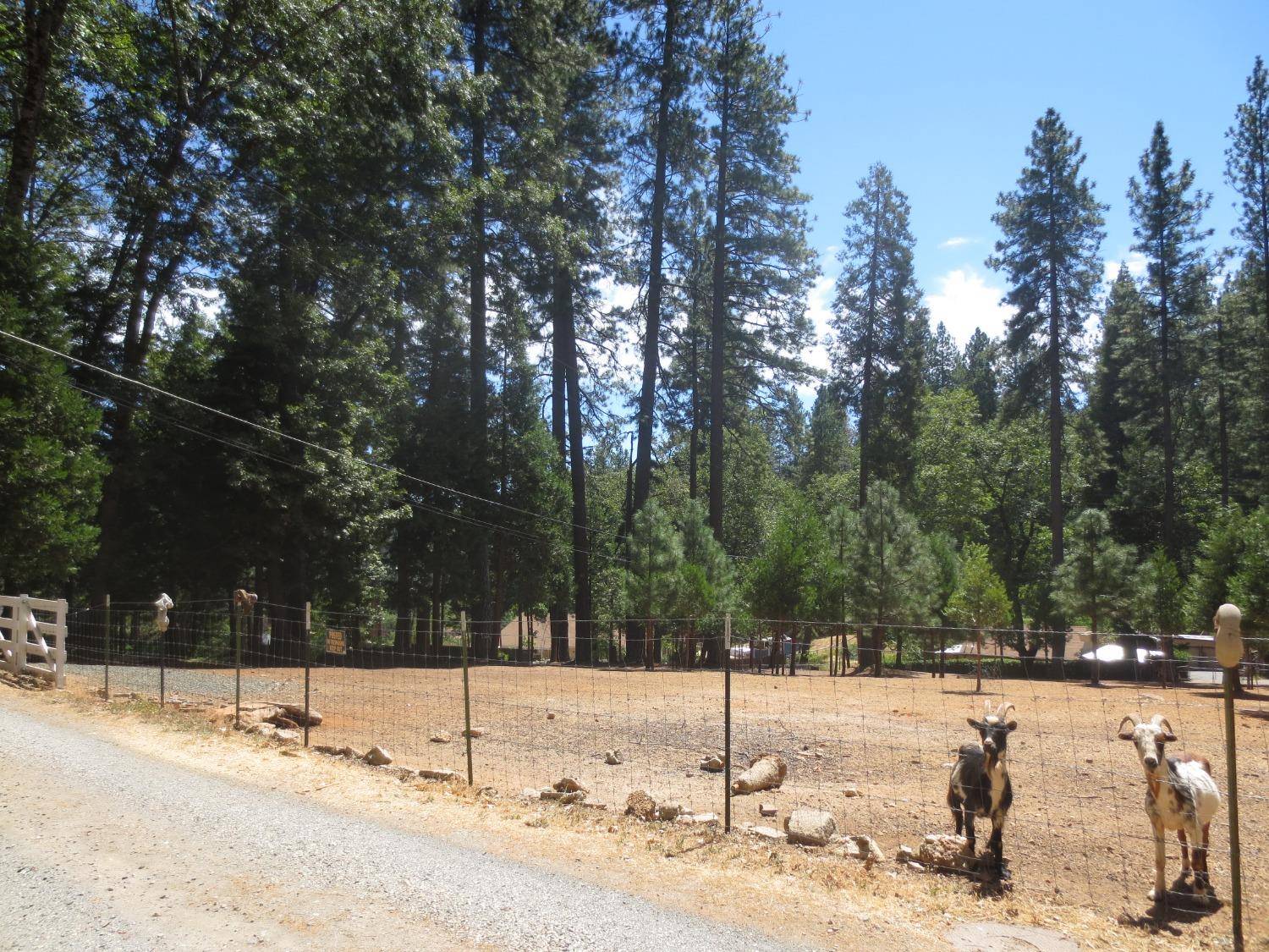 Grass Valley, CA 95945,606 Glenwood RD