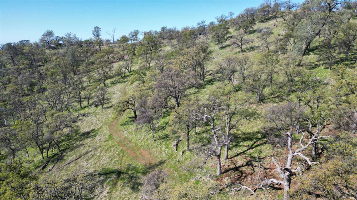 Grass Valley, CA 95949,24343 Big Spring DR