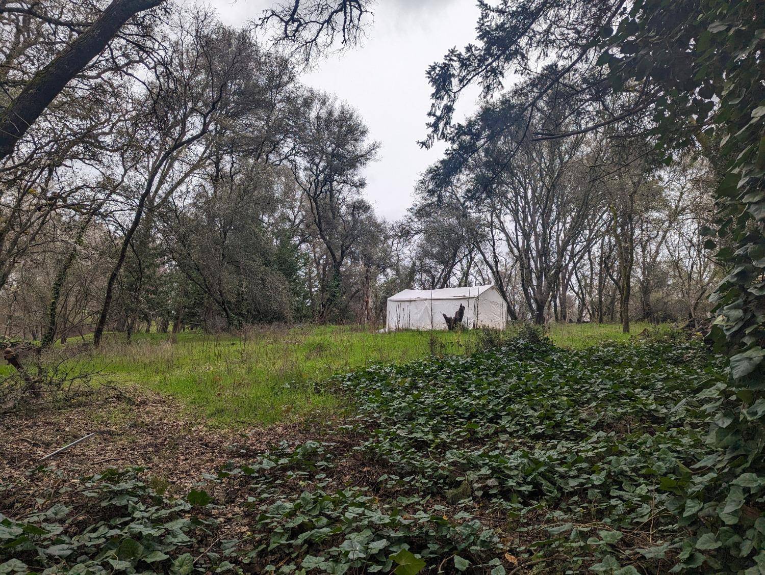 Auburn, CA 95603,0 Millertown RD