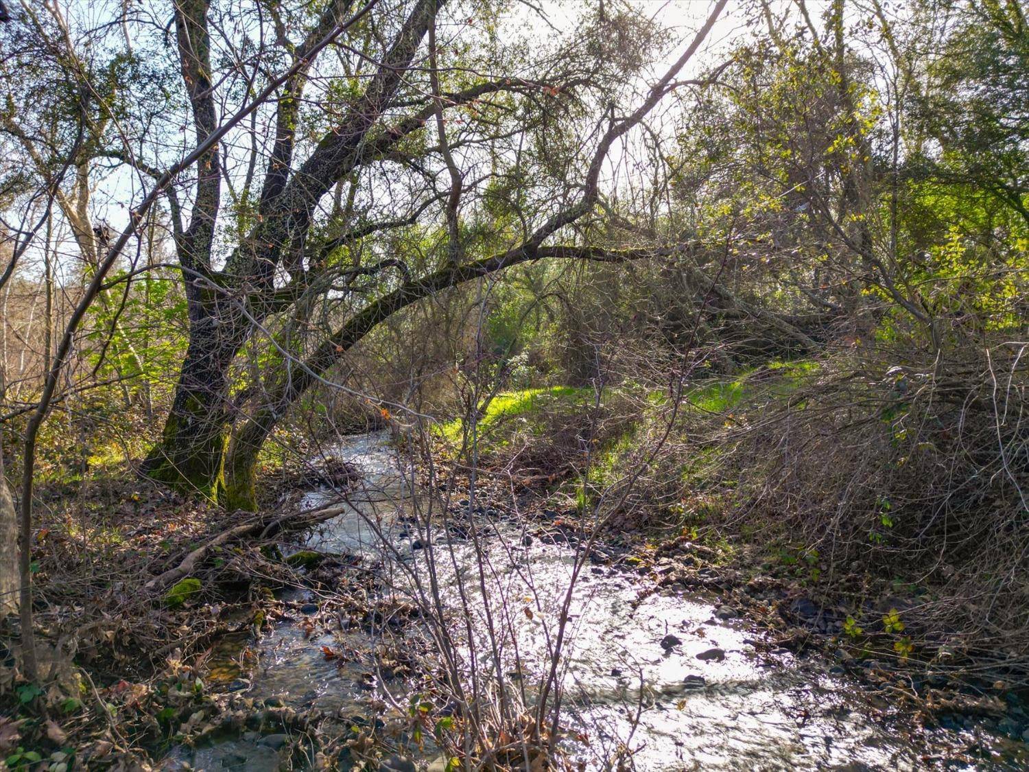 Browns Valley, CA 95918,9844 Township RD