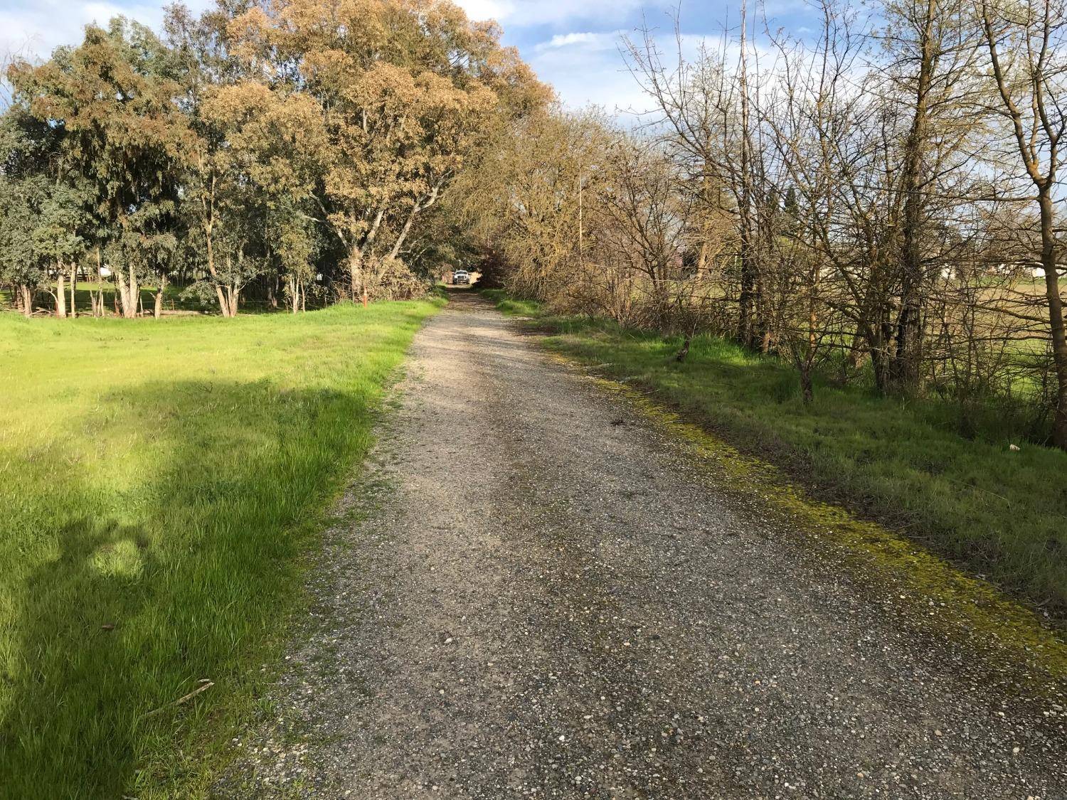 Elk Grove, CA 95624,8688 Cherrington LN