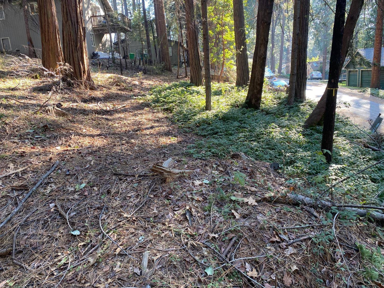 Nevada City, CA 95959,12724 Valley View RD