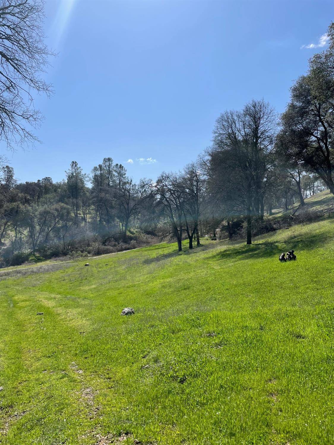 Auburn, CA 95602,6715 Grass Valley HWY