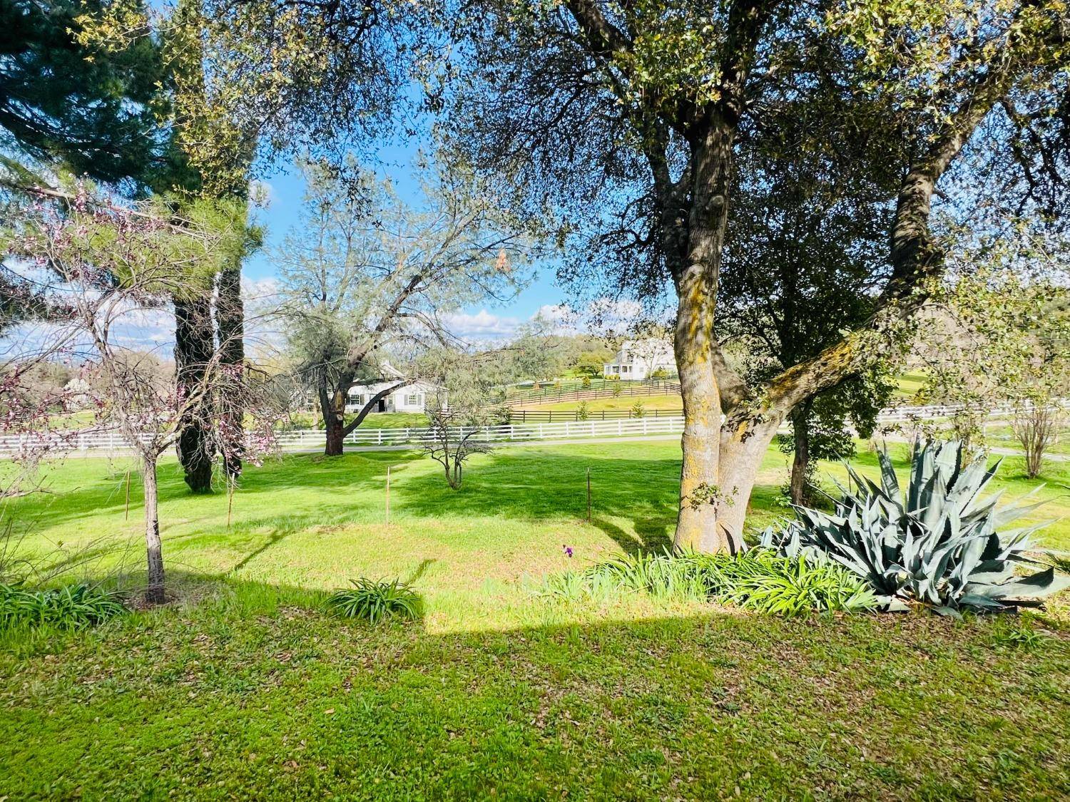 Loomis, CA 95650,6980 High Cliff RD