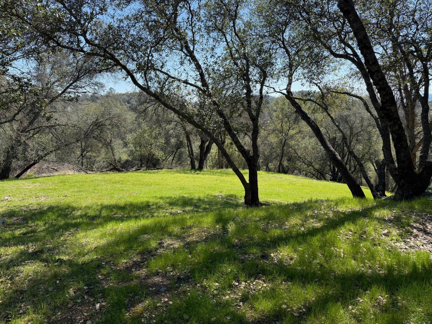 Angels Camp, CA 95222,0 Albasio CT