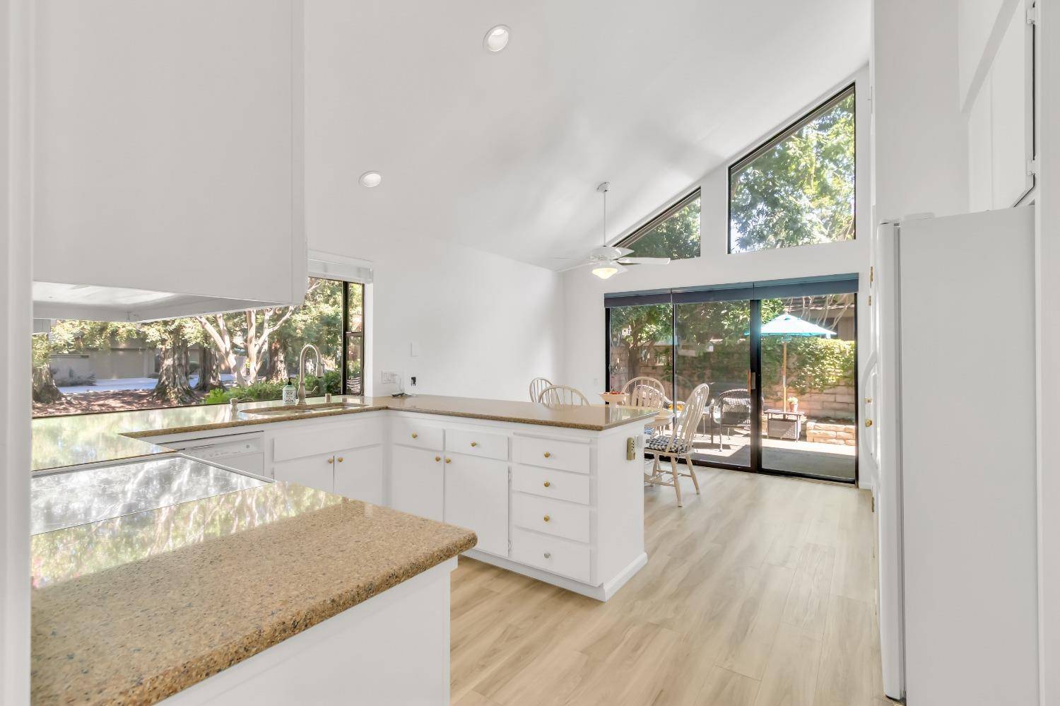 Gold River, CA 95670,2163 Promontory Point LN