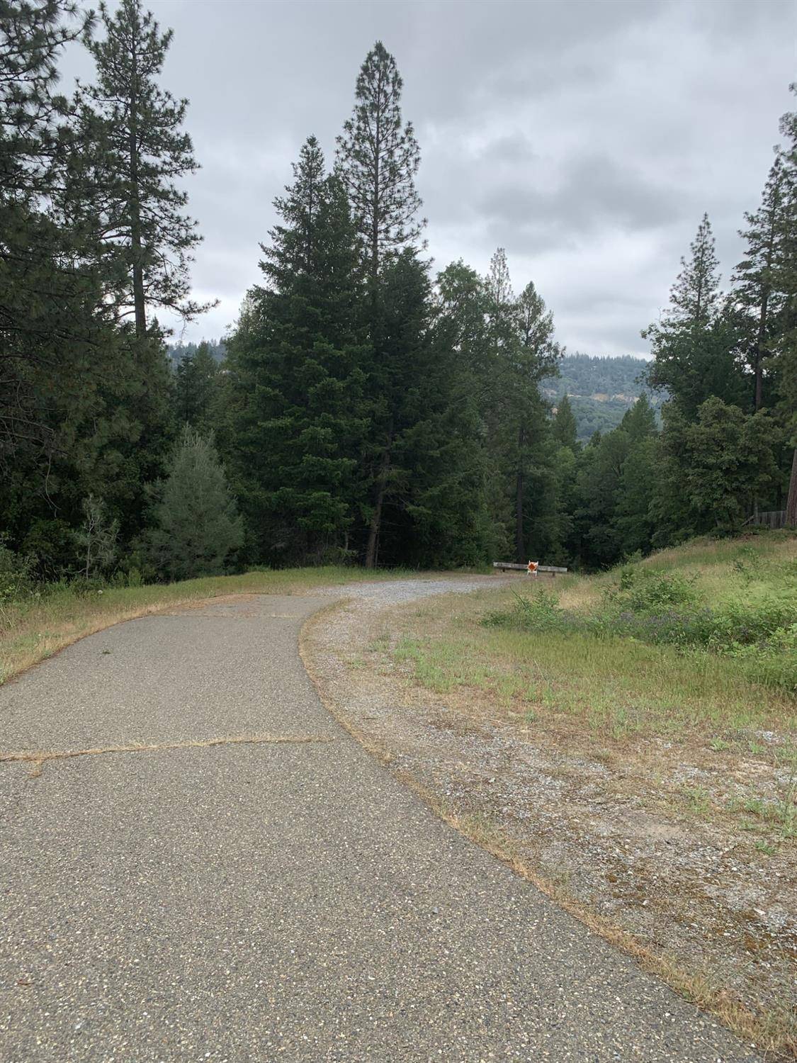 Pollock Pines, CA 95726,3515 Amapola CT
