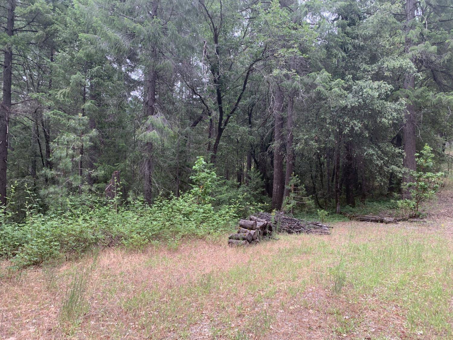 Pollock Pines, CA 95726,3515 Amapola CT