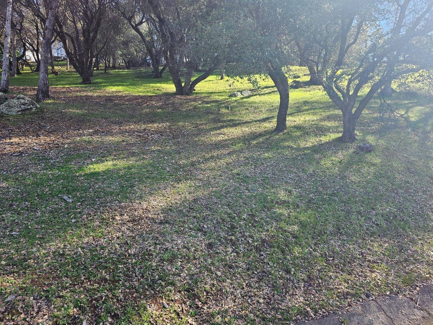 Penn Valley, CA 95946,11839 Warbler WAY