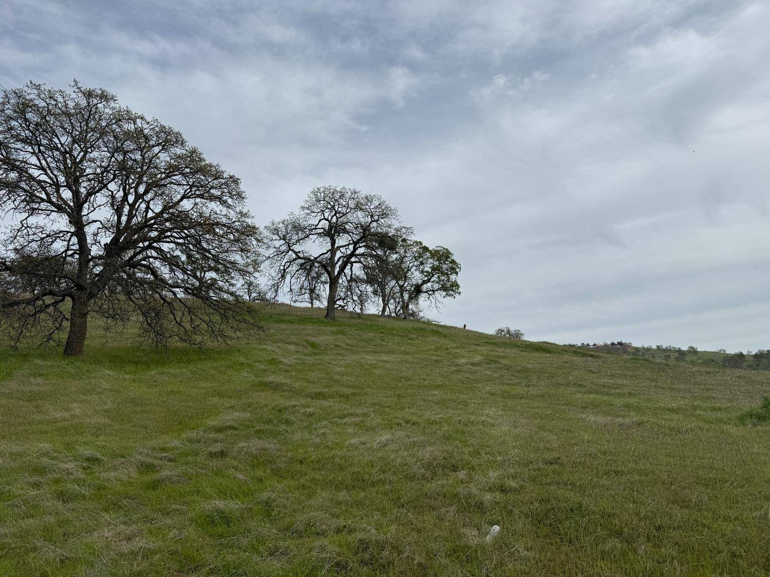 La Grange, CA 95329,10171 Jalapa WAY