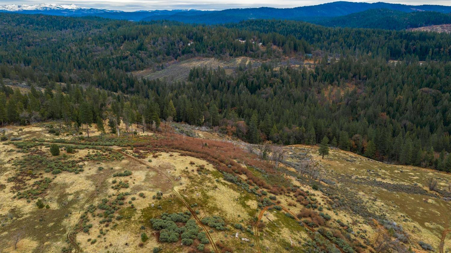 Pollock Pines, CA 95726,0 Pine Tree Lane