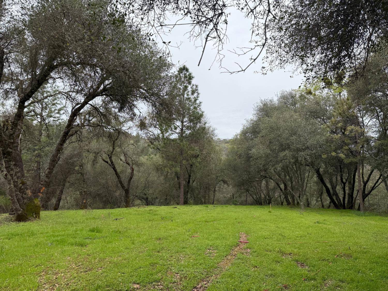 Pilot Hill, CA 95664,282 Tiger Lily Road