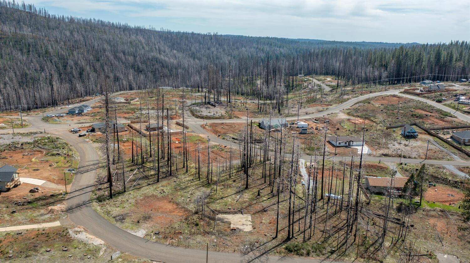 Grizzly Flats, CA 95636,5185 Wooded Glen