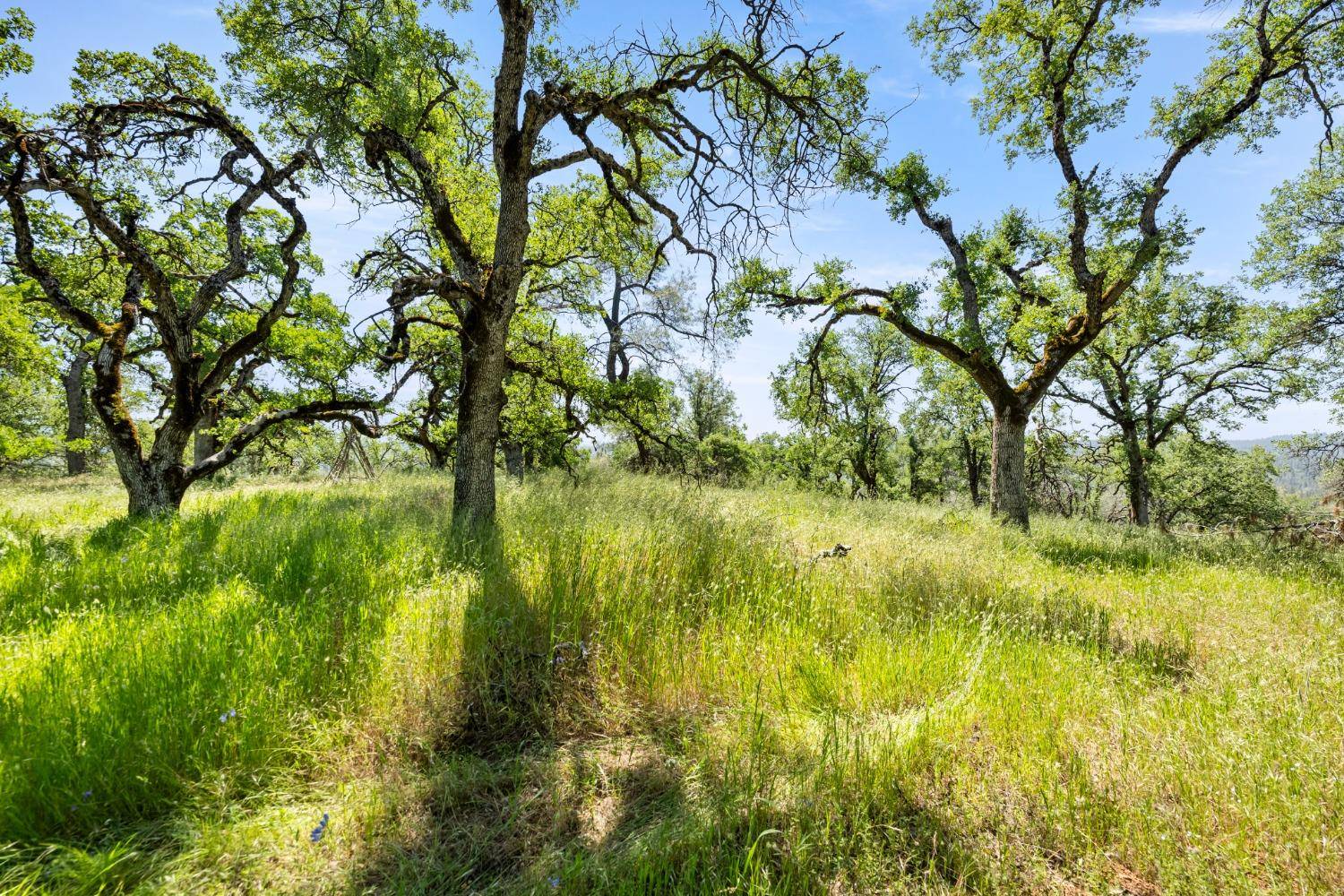 Colfax, CA 95713,0 Peaceful Valley Road