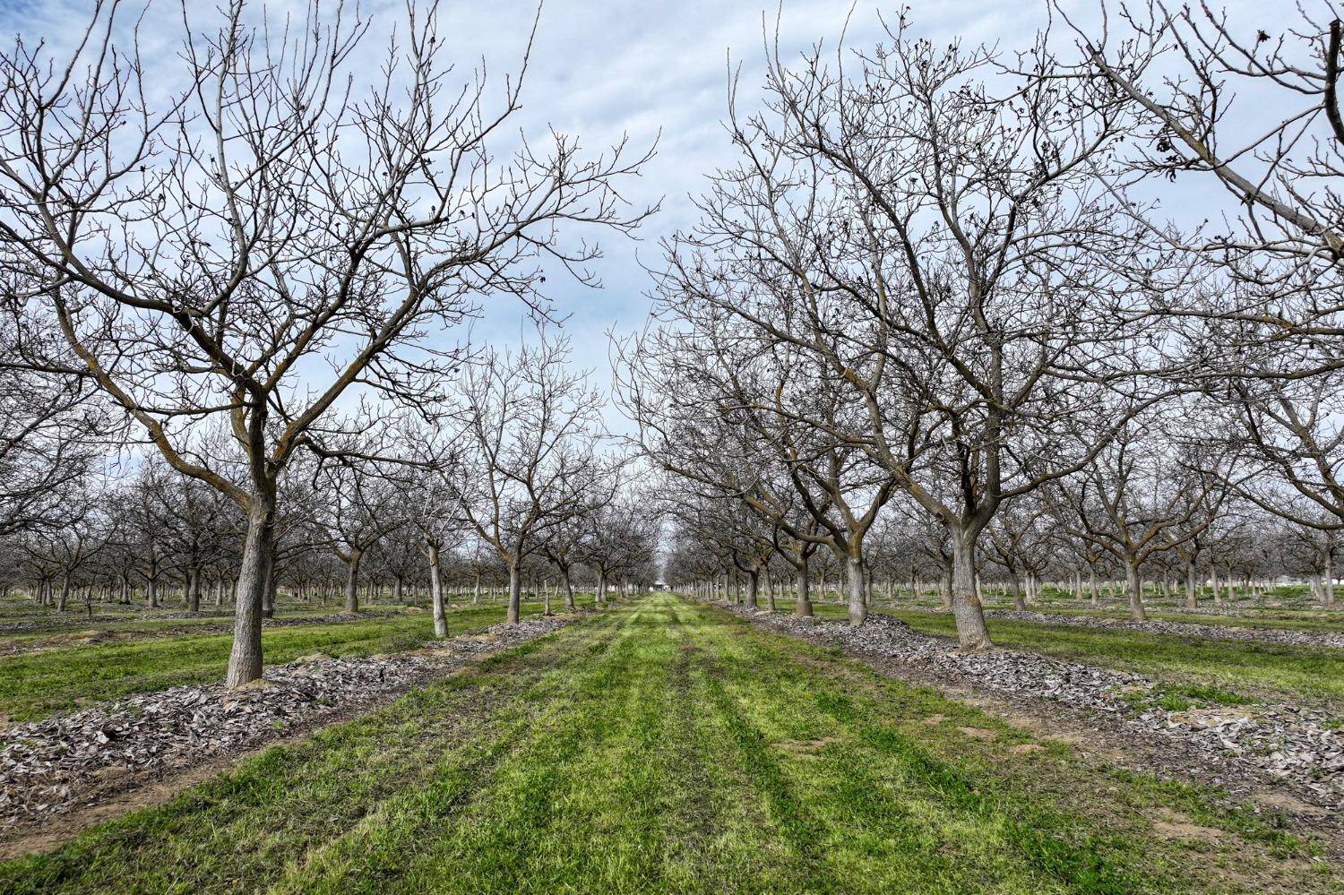 Visalia, CA 93292,0 Avenue 288