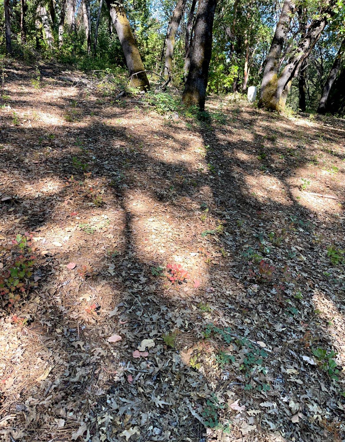 Foresthill, CA 95631,20676 Spring Garden Rd