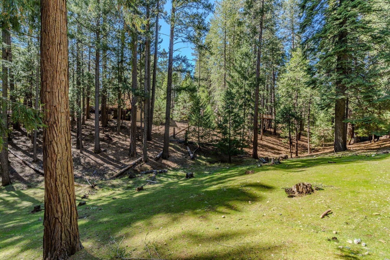 Pioneer, CA 95666,25824 Meadow DR